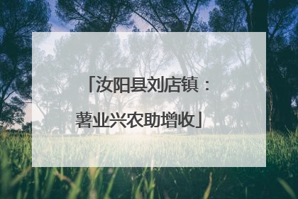 汝阳县刘店镇：薯业兴农助增收