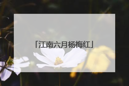 江南六月杨梅红