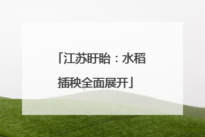 江苏盱眙：水稻插秧全面展开