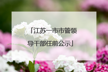 江苏一市市管领导干部任前公示