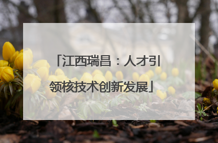 江西瑞昌：人才引领核技术创新发展