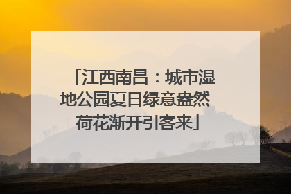 江西南昌：城市湿地公园夏日绿意盎然 荷花渐开引客来