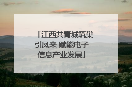 江西共青城筑巢引凤来 赋能电子信息产业发展