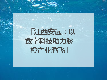 江西安远：以数字科技助力脐橙产业腾飞