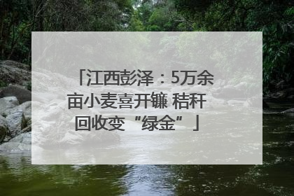 江西彭泽：5万余亩小麦喜开镰 秸秆回收变“绿金”