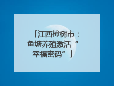江西樟树市：鱼塘养殖激活“幸福密码”