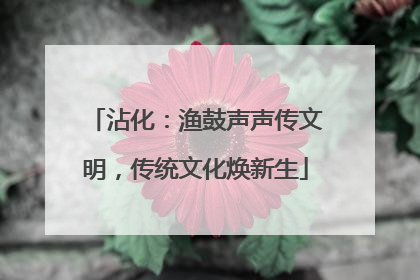 沾化：渔鼓声声传文明，传统文化焕新生