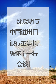 沈晓明与中国进出口银行董事长陈怀宇一行会谈