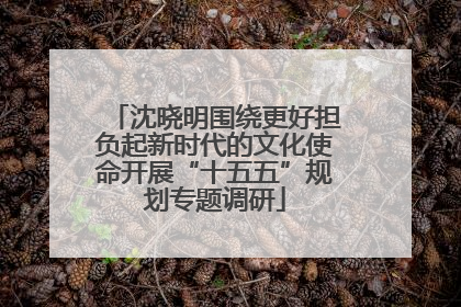 沈晓明围绕更好担负起新时代的文化使命开展“十五五”规划专题调研
