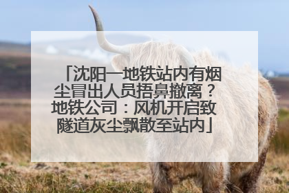沈阳一地铁站内有烟尘冒出人员捂鼻撤离？地铁公司：风机开启致隧道灰尘飘散至站内
