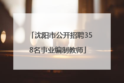 沈阳市公开招聘358名事业编制教师