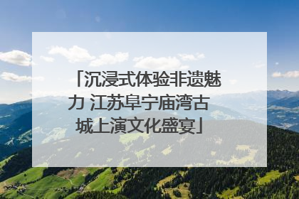 沉浸式体验非遗魅力 江苏阜宁庙湾古城上演文化盛宴