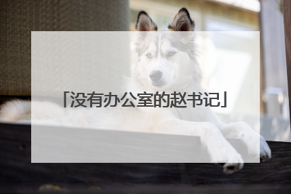 没有办公室的赵书记