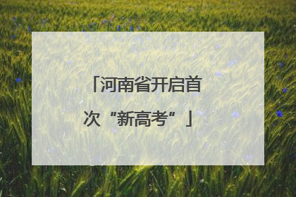 河南省开启首次“新高考”