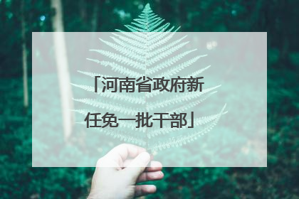 河南省政府新任免一批干部