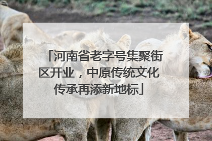 河南省老字号集聚街区开业，中原传统文化传承再添新地标