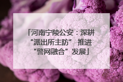河南宁陵公安：深耕“派出所主防” 推进“警网融合”发展