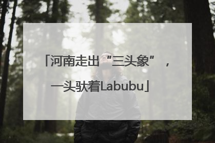 河南走出“三头象”，一头驮着Labubu