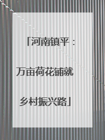 河南镇平：万亩荷花铺就乡村振兴路