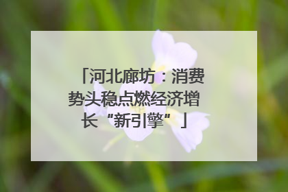 河北廊坊：消费势头稳点燃经济增长“新引擎”