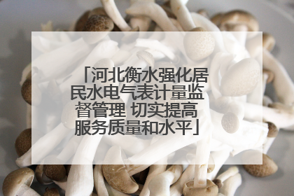 河北衡水强化居民水电气表计量监督管理 切实提高服务质量和水平