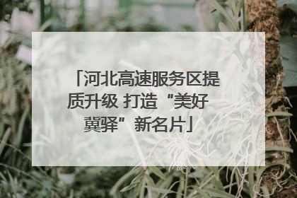 河北高速服务区提质升级 打造“美好冀驿”新名片