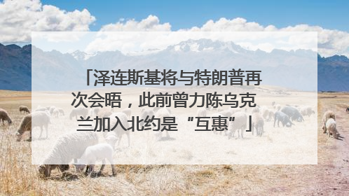 泽连斯基将与特朗普再次会晤，此前曾力陈乌克兰加入北约是“互惠”