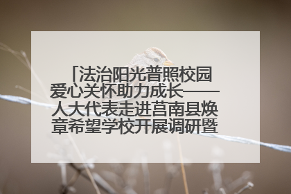 法治阳光普照校园 爱心关怀助力成长——人大代表走进莒南县焕章希望学校开展调研暨普法宣传活动