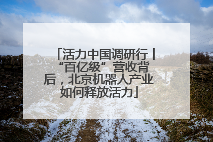 活力中国调研行丨 “百亿级”营收背后，北京机器人产业如何释放活力