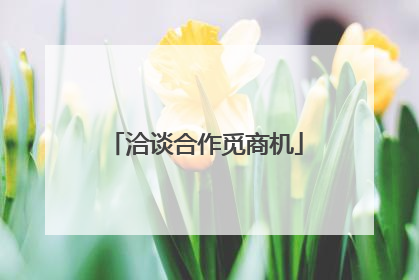洽谈合作觅商机