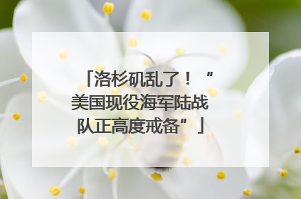 洛杉矶乱了！“美国现役海军陆战队正高度戒备”