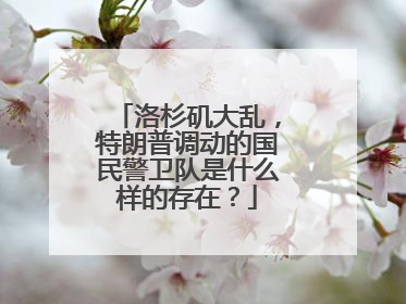 洛杉矶大乱，特朗普调动的国民警卫队是什么样的存在？