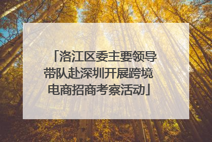洛江区委主要领导带队赴深圳开展跨境电商招商考察活动
