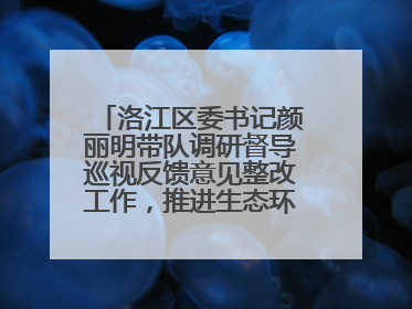 洛江区委书记颜丽明带队调研督导巡视反馈意见整改工作，推进生态环境保护建设