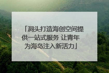 洞头打造海创空间提供一站式服务 让青年为海岛注入新活力