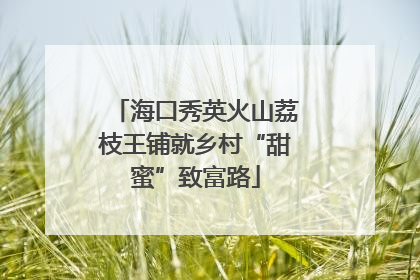 海口秀英火山荔枝王铺就乡村“甜蜜”致富路