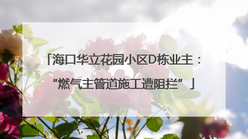 海口华立花园小区D栋业主：“燃气主管道施工遭阻拦”