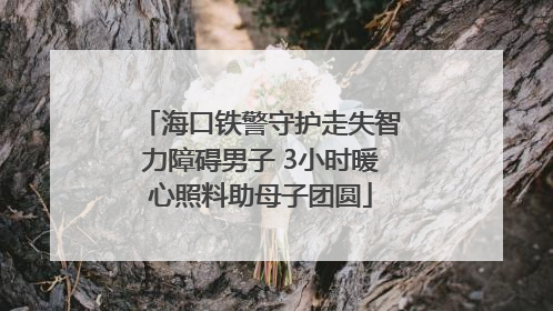 海口铁警守护走失智力障碍男子 3小时暖心照料助母子团圆