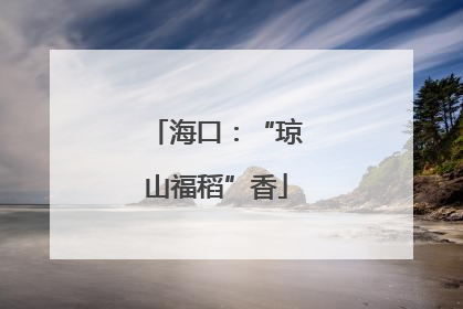 海口：“琼山福稻”香