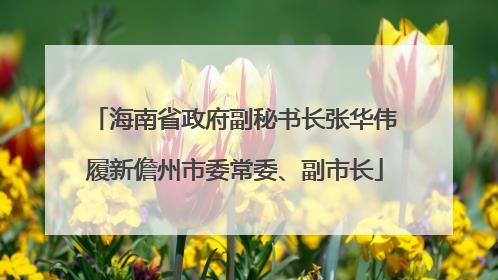 海南省政府副秘书长张华伟履新儋州市委常委、副市长