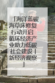 海洋蓝碳海草床修复行动开启 循环经济产业助力低碳社会建设丨新经济观察