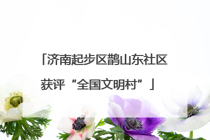 济南起步区鹊山东社区获评“全国文明村”