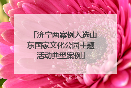 济宁两案例入选山东国家文化公园主题活动典型案例