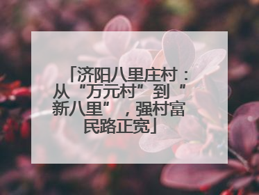 济阳八里庄村：从“万元村”到“新八里”，强村富民路正宽