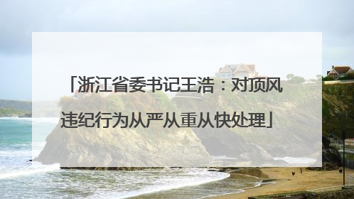 浙江省委书记王浩：对顶风违纪行为从严从重从快处理