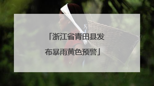 浙江省青田县发布暴雨黄色预警