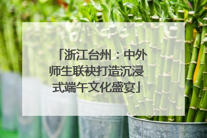 浙江台州：中外师生联袂打造沉浸式端午文化盛宴