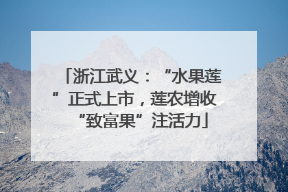 浙江武义：“水果莲”正式上市，莲农增收“致富果”注活力