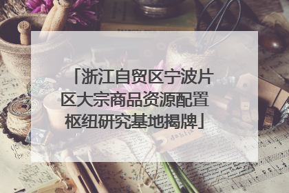 浙江自贸区宁波片区大宗商品资源配置枢纽研究基地揭牌