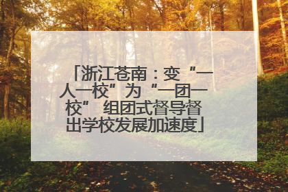 浙江苍南：变“一人一校”为“一团一校” 组团式督导督出学校发展加速度